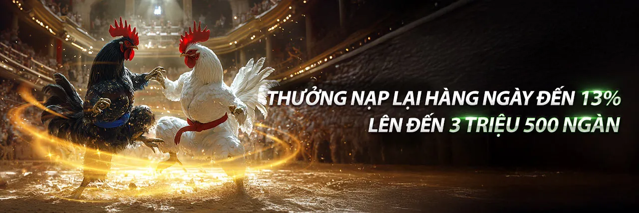 Đấu trường Esports sôi động với khán giả reo hò tại 8win55