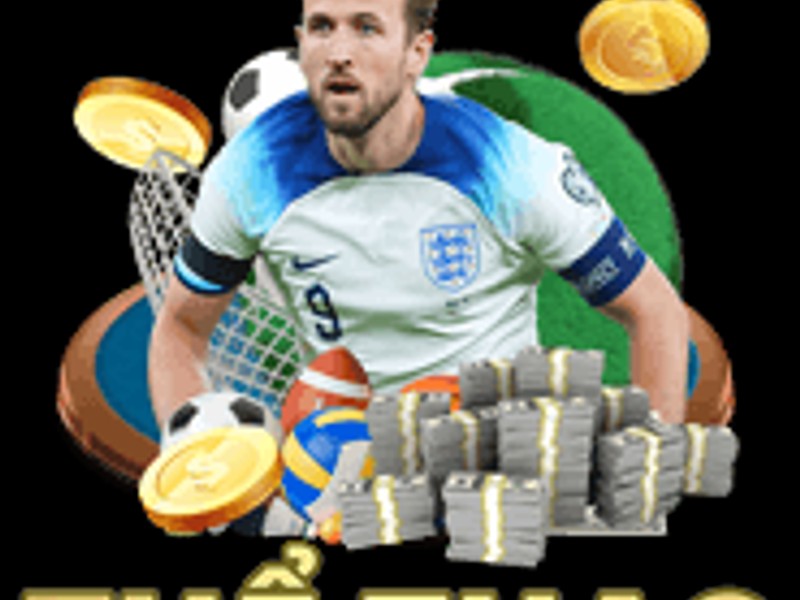 Hình ảnh đại diện cho cá cược thể thao tại 8win55, với sân vận động và biểu tượng các môn thể thao.